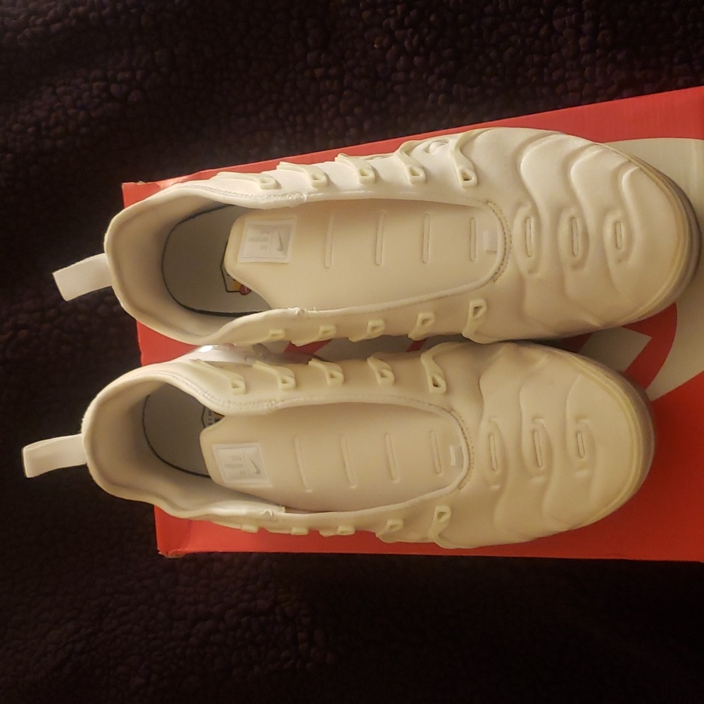 Gymshoes/ Sneakers